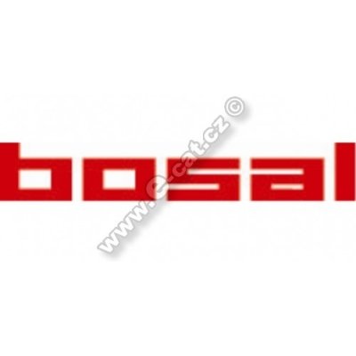 BOSAL BS 248-163 – Zboží Mobilmania