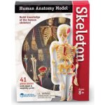 Learning Resources Anatomický model lidské kostry – Hledejceny.cz