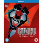 Batman Beyond: The Complete Series Vanilla Edition BD – Zboží Dáma