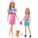 Barbie Stacie a Barbie 2-balení panenek HRM09 – Zboží Dáma