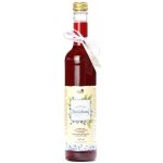 Naturprodukt Domácí sirup Borůvkový 0,5 l – Zboží Mobilmania