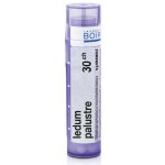 LEDUM PALUSTRE POR 30CH GRA 1X4G – Hledejceny.cz