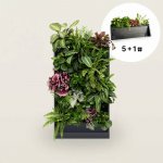 PlantBox - Živá stěna 5 modulů – Hledejceny.cz
