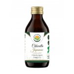 Salvia Paradise Chlorella Japanese 800 tablet – Hledejceny.cz