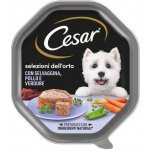 Cesar Adult s kuřecím masem 150 g – Hledejceny.cz