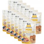 Brit Care Mini Rabbit & Salmon 12 x 85 g – Hledejceny.cz