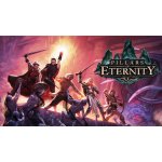 Pillars of Eternity (Hero Edition) – Hledejceny.cz