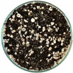 Gardners Substrát pro sukulenty a kaktusy 1 l – Zboží Dáma