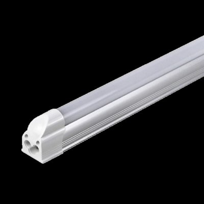 NBB 268000015 – Zboží Dáma