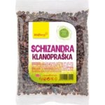Wolfberry Schizandra plod Klanopraška 50 g – Zboží Dáma