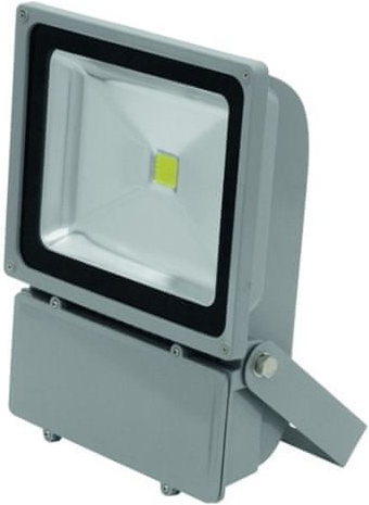 Eurolite Reflektor LED IP FL-100 COB 6400K 120°