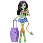 Mattel Monster High Monsterka Jinafire Long – Hledejceny.cz