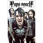 Papa Roach - Band (vlajka) – Hledejceny.cz