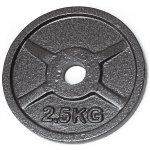 FitnessLine Kotouč litinový 30 mm - 2,5 kg – Zbozi.Blesk.cz