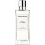 Angel Schlesser Les Eaux d'Un Instant Intimate White Flowers toaletní voda unisex 100 ml – Hledejceny.cz