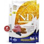 N&D Ancestral Grain Dog Adult Mini Lamb & Blueberry 0,8 kg – Zboží Mobilmania