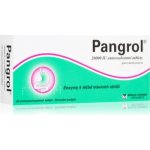 PANGROL POR 20000IU TBL ENT 20 II – Sleviste.cz