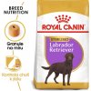 Granule pro psy Royal Canin Sterilised Labrador Retriever Adult 2 x 12 kg