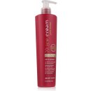 Inebrya Pro-Color Color Perfect Conditioner 300 ml