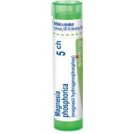 MAGNESIA PHOSPHORICA POR 5CH GRA 1X4G – Hledejceny.cz