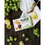 NATURHOUSE FLUICIR VITIS 60 kapslí – Hledejceny.cz