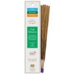 Pure Natural Incense Vonné tyčinky Fresh Balsamic 10 ks – Hledejceny.cz