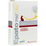 ATV Epato 750 pro kočky 30 tbl – Hledejceny.cz