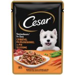 Cesar Chutné kuřecí se zeleninou 100 g – Sleviste.cz