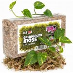 Happet substrát PM03 Sphagnum Moss mech rašeliník 150 g – Hledejceny.cz