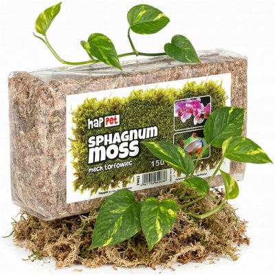 Happet substrát PM03 Sphagnum Moss mech rašeliník 150 g – Hledejceny.cz