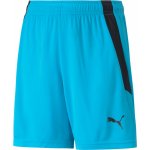 Puma teamLIGA Shorts Jr – Zbozi.Blesk.cz