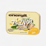 Energit Zázvor a lišejník 6 x 42 tablet – Hledejceny.cz