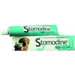 ATV impex Stomodine 30 g – Hledejceny.cz