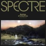 Para One - Spectre - Machines Of Loving Grace LTD LP – Hledejceny.cz