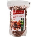 ZdravýDen Lískové ořechy Bio 500 g – Hledejceny.cz