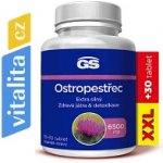 GS Ostropestřec 6500 mg XXL 100 tablet – Hledejceny.cz