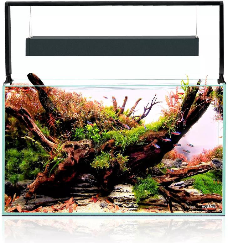 Aquael UltraScape set 60 forest 60 x 30 x 36 cm
