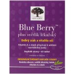 New Nordic Blue Berry 60 tablet – Hledejceny.cz