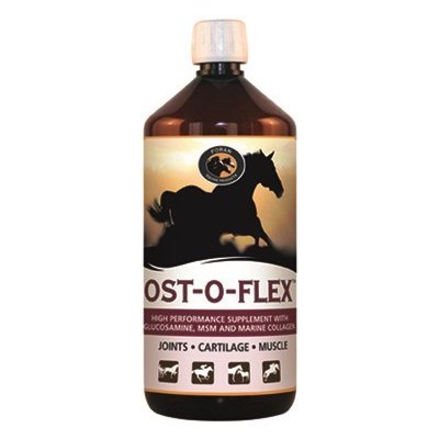 Foran Ost O Flex 2,5 l – Hledejceny.cz