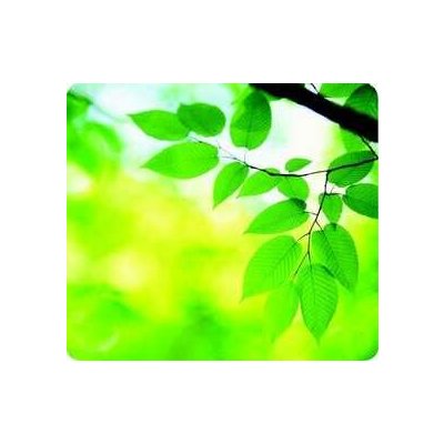 Fellowes Earth Series - listy 5903801 – Sleviste.cz