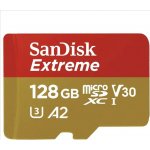 SanDisk SDXC UHS-I U3 128 GB SDSQXAA-128G-GN6AA – Zboží Mobilmania