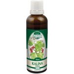Naděje Kalina tušalaj z pupenů 50 ml 40% – Hledejceny.cz