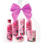 Biofresh Rose of Bulgaria šampon na vlasy 330 ml + mýdlo 100 g + krém na ruce 75 ml dárková sada – Hledejceny.cz