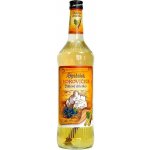 Spišská Borovička 38% 0,7 l (holá láhev) – Hledejceny.cz