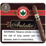 Joya de Nicaragua Antaño 1970 Cigarillos 10 ks – Zboží Dáma