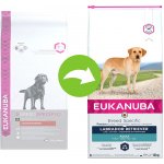 Eukanuba Labrador Retriever 12 kg – Hledejceny.cz