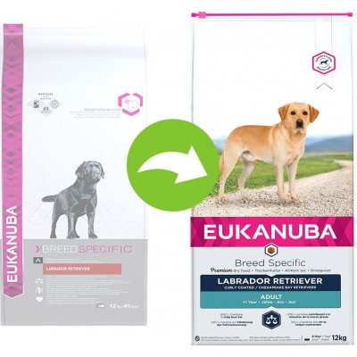 Eukanuba Adult Breed Specific Labrador Retriever 2 x 12 kg – Hledejceny.cz