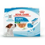 Royal canin Mini Puppy kapsy 4 x 85 g – Zboží Mobilmania