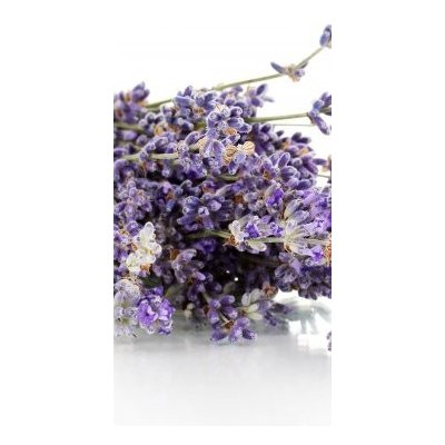 WEBLUX 44291419 Samolepka na lednici fólie Lavender flowers isolated on white Levandule květiny izolovaných na bílém rozměry 80 x 200 cm – Zbozi.Blesk.cz