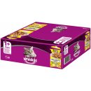 Whiskas 1+ ragú Adult drůbeží výběr v želé 80 x 85 g